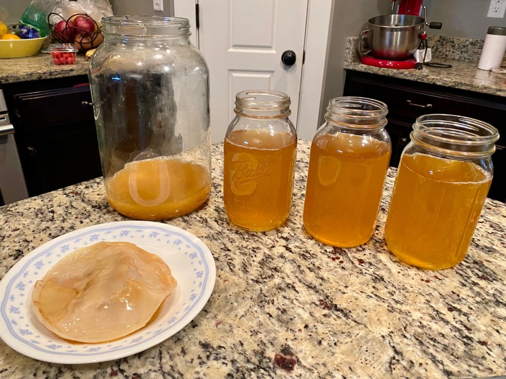 Kombucha – Ceaiul nemuririi (Rețeta) Kombucha – Ceaiul nemuririi (Rețeta)